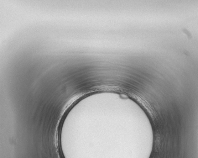 X0000115421082200912011241