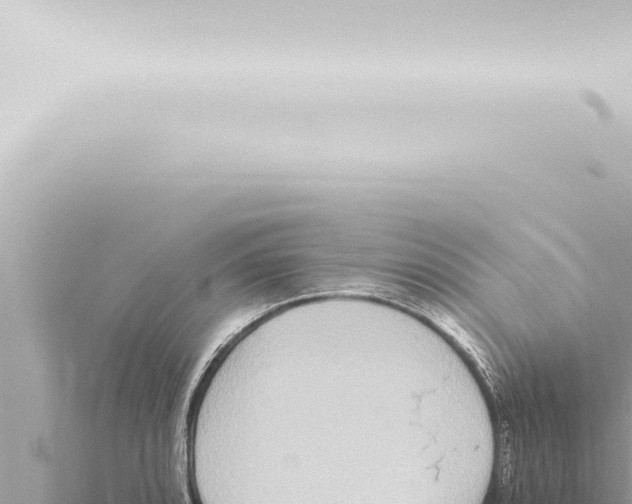 X0000115421088200912011241