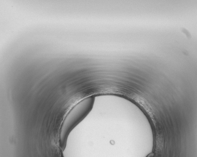 X0000115421089200912011241