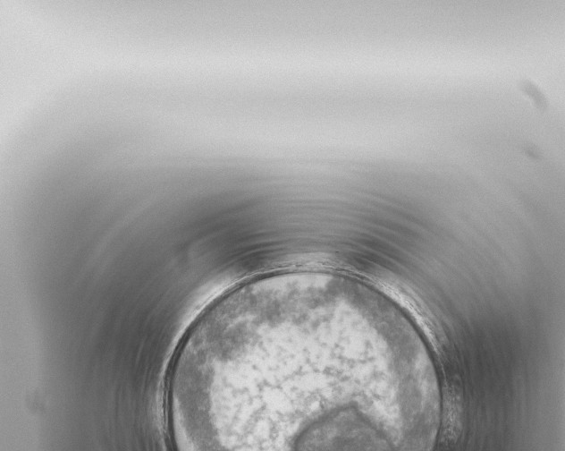 X0000115421090200912011241