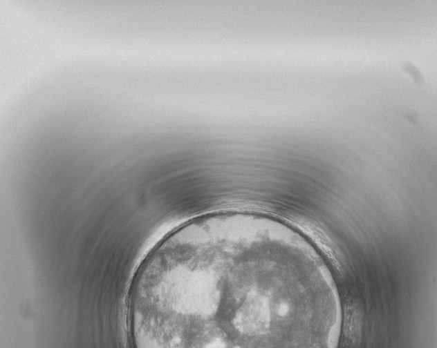 X0000115421094200912011241