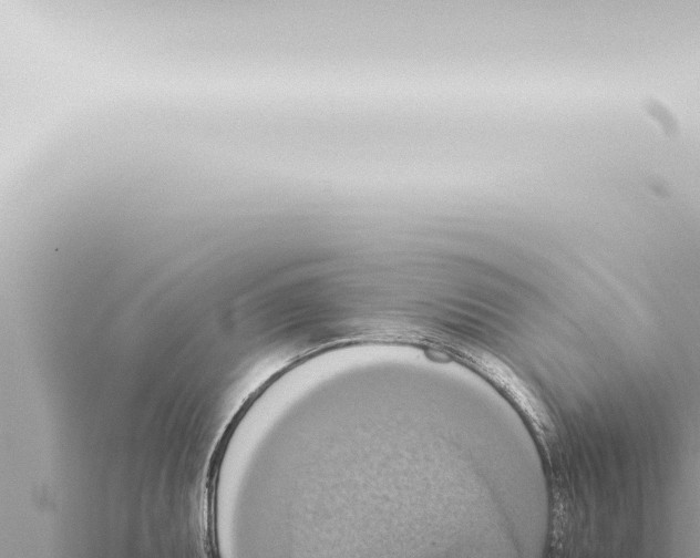 X0000115421095200912011241