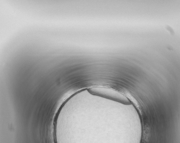 X0000115421096200912011241