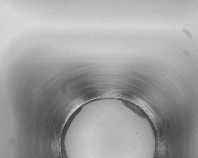 X0000115421097200912011241