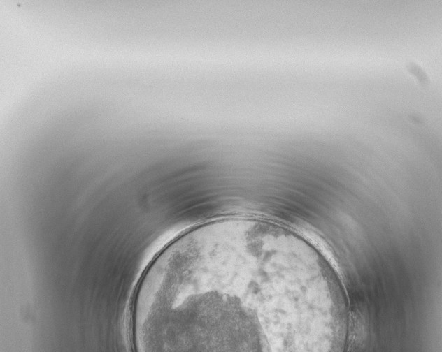 X0000115421098200912011241