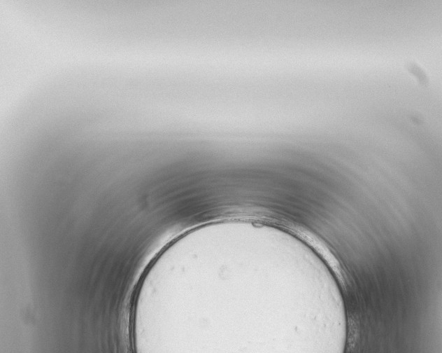 X0000115421099200912011241