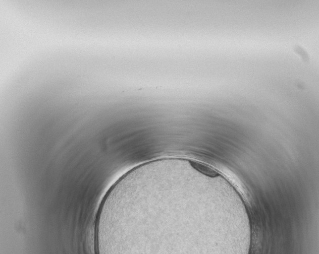 X0000115421100200912011241