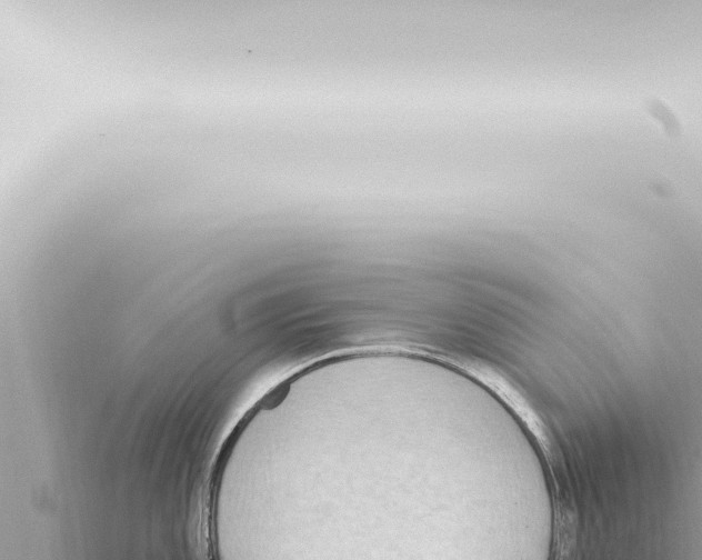 X0000115421101200912011241