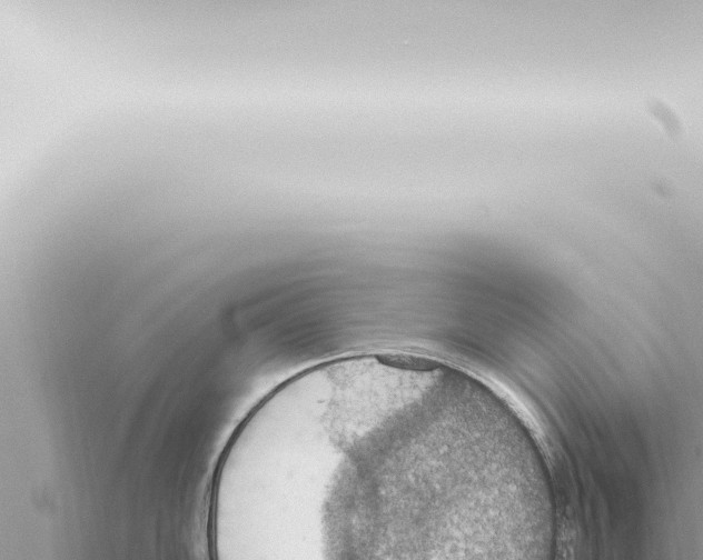 X0000115421102200912011241