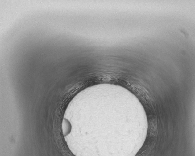 X0000115421105200912011240