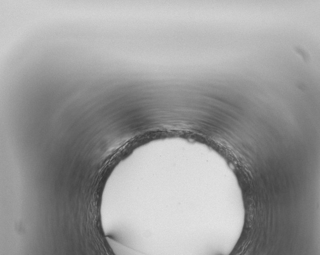 X0000115421110200912011240