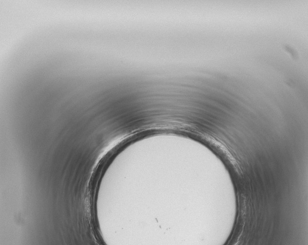 X0000115421114200912011240