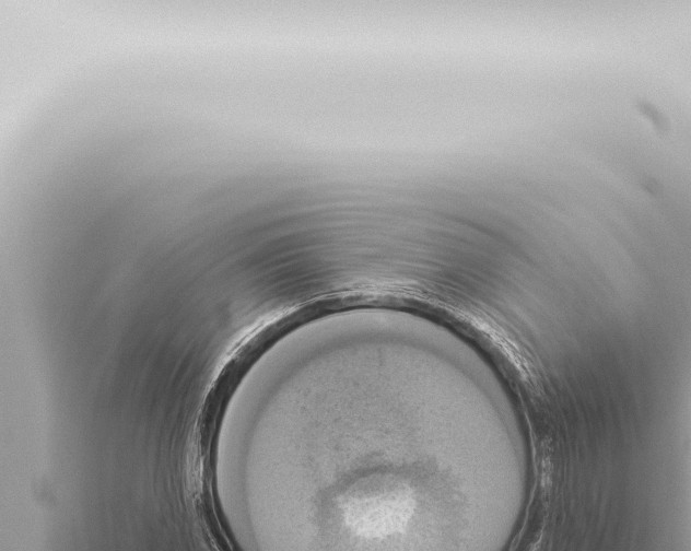 X0000115421117200912011240