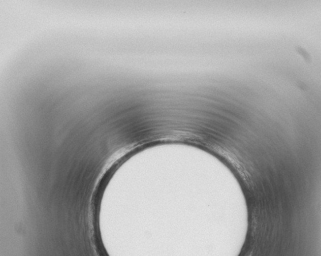 X0000115421122200912011240