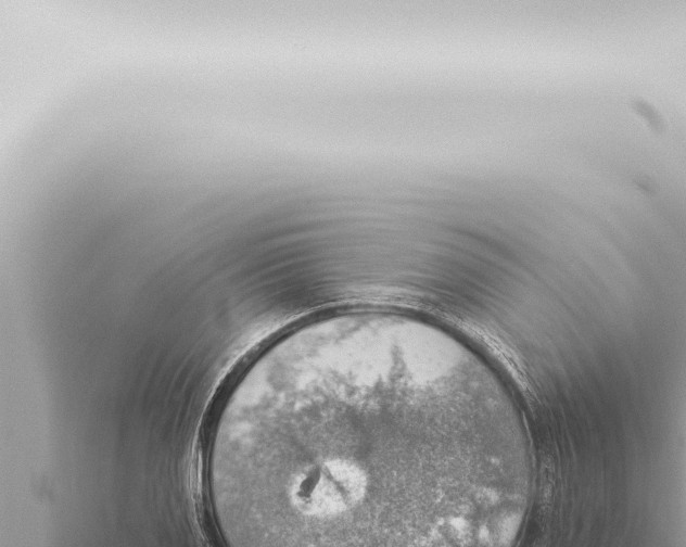 X0000115421125200912011241