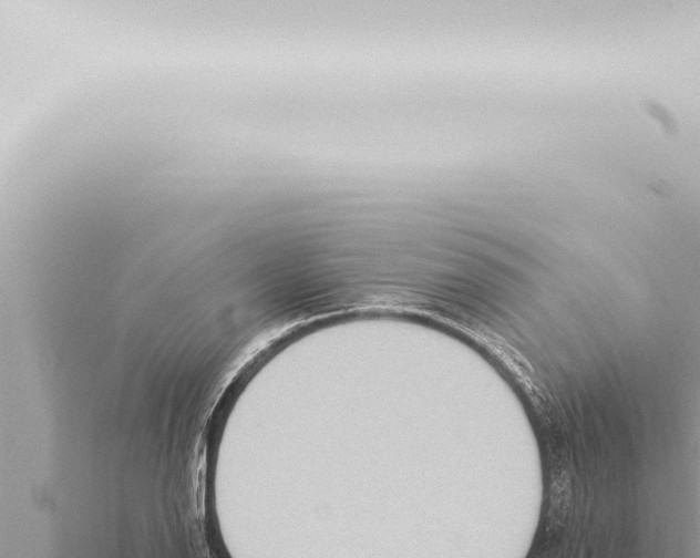 X0000115421126200912011241