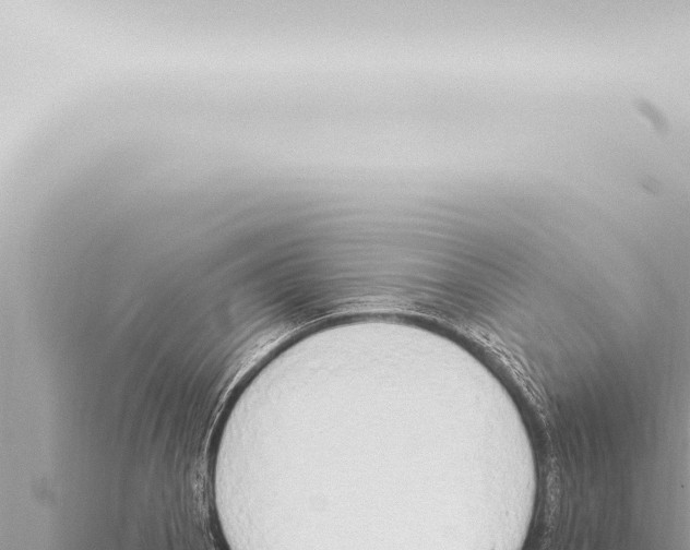 X0000115421129200912011241