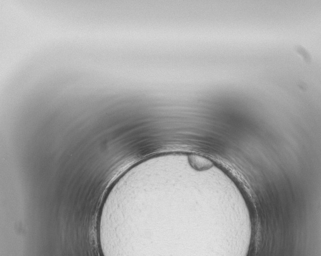 X0000115421137200912011241