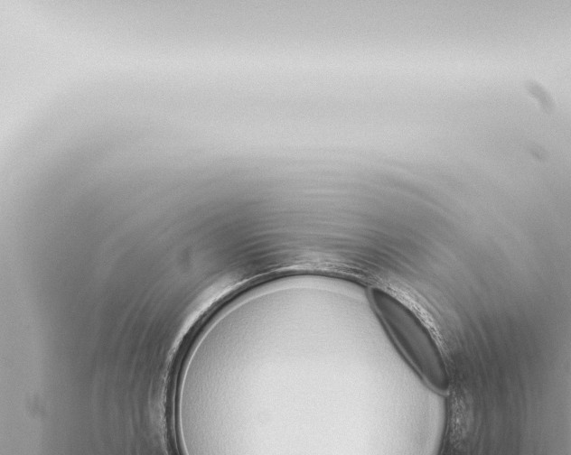 X0000115421138200912011241