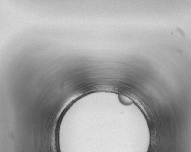 X0000115421139200912011241