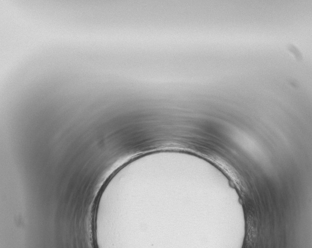 X0000115421142200912011241