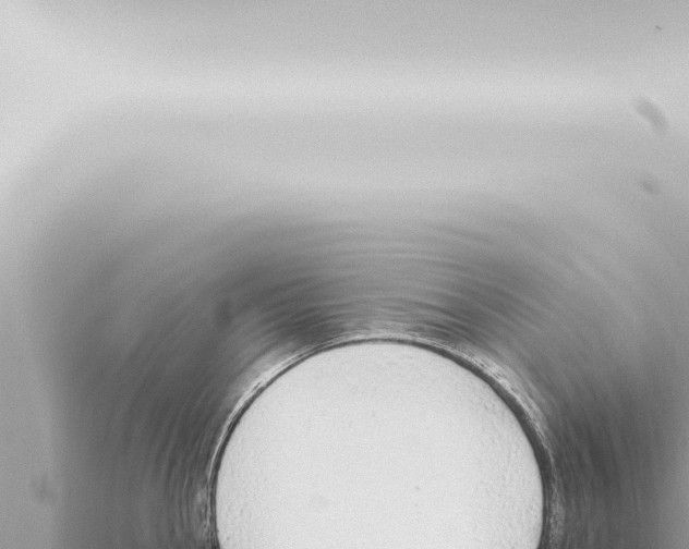 X0000115421145200912011241