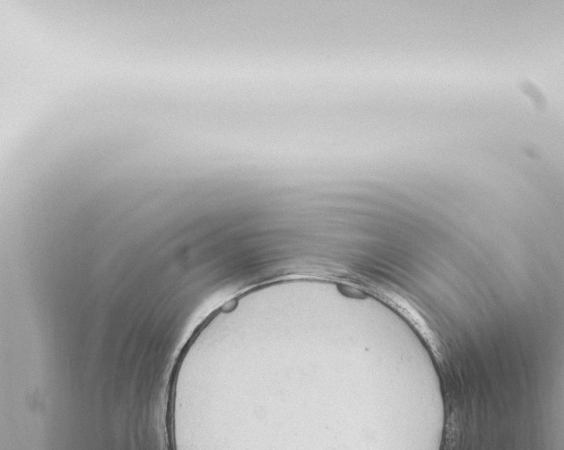 X0000115421146200912011241