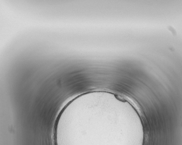 X0000115421149200912011241