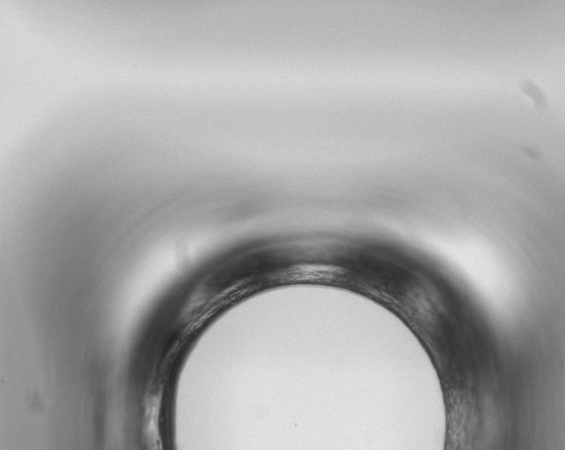 X0000115421150200912011241