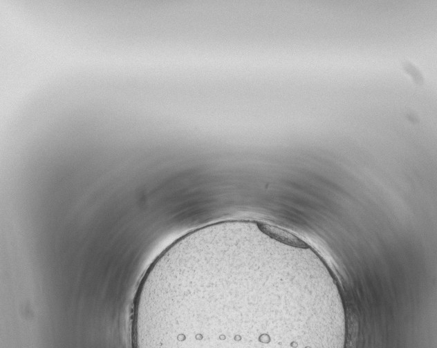 X0000115421151200912011241