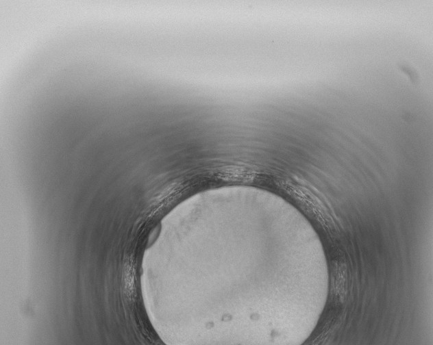 X0000115421154200912011240