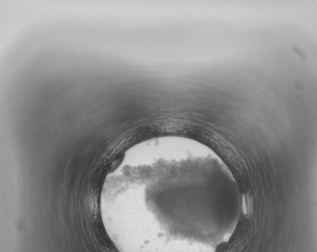 X0000115421155200912011240