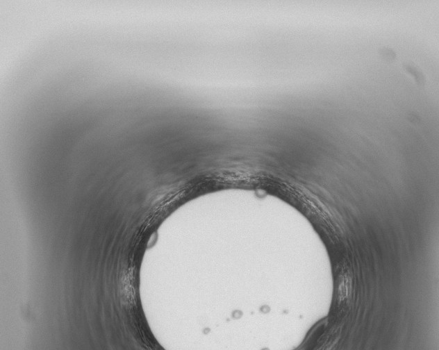 X0000115421156200912011240