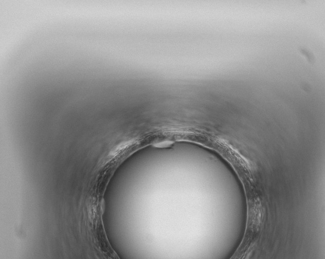 X0000115421157200912011240