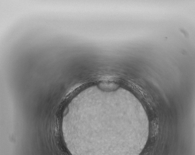 X0000115421158200912011240