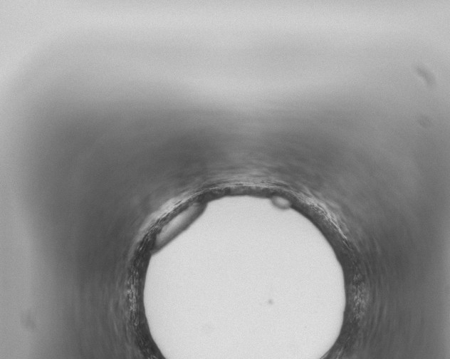 X0000115421159200912011240