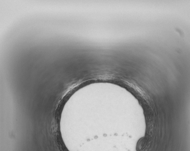 X0000115421160200912011240