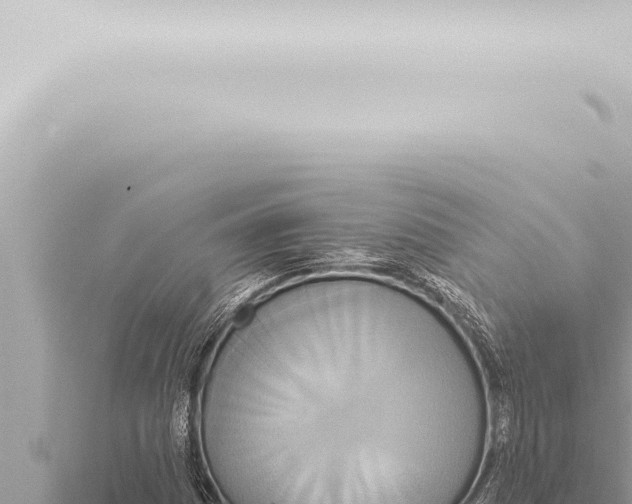 X0000115421161200912011240