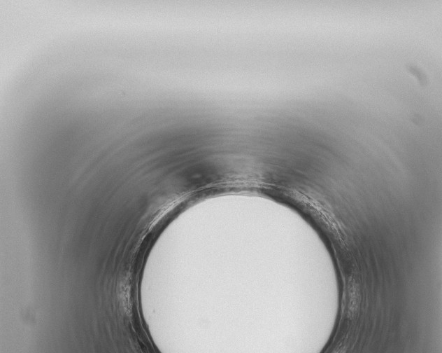 X0000115421162200912011240