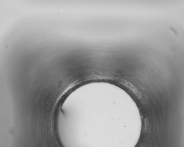 X0000115421165200912011240