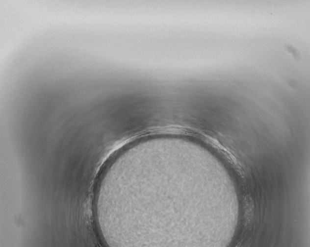 X0000115421166200912011240