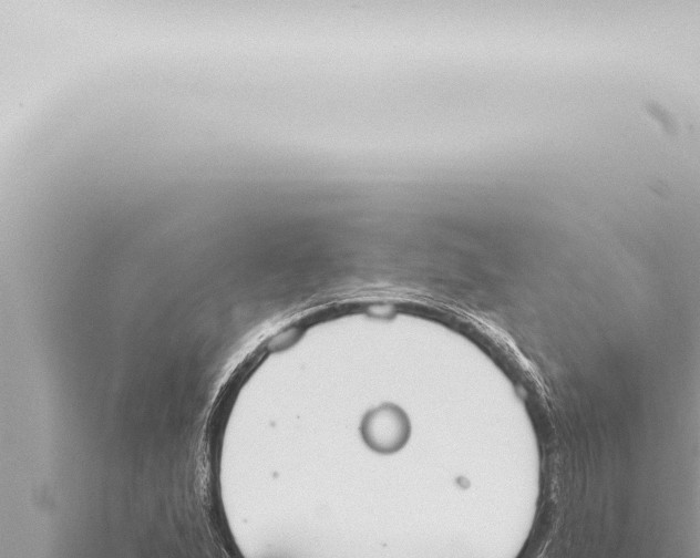 X0000115421167200912011240