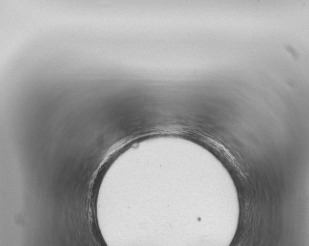 X0000115421168200912011240