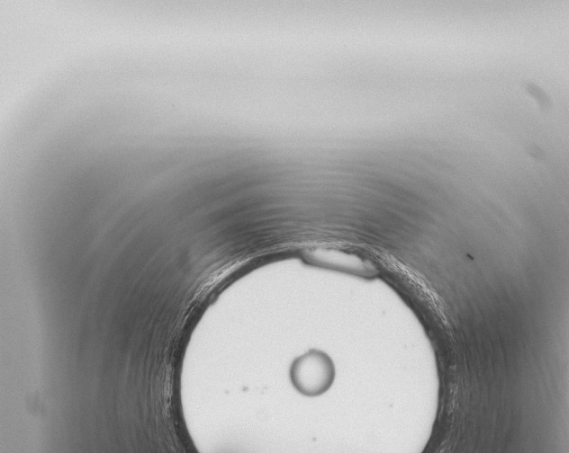 X0000115421169200912011240