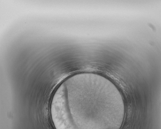 X0000115421170200912011240