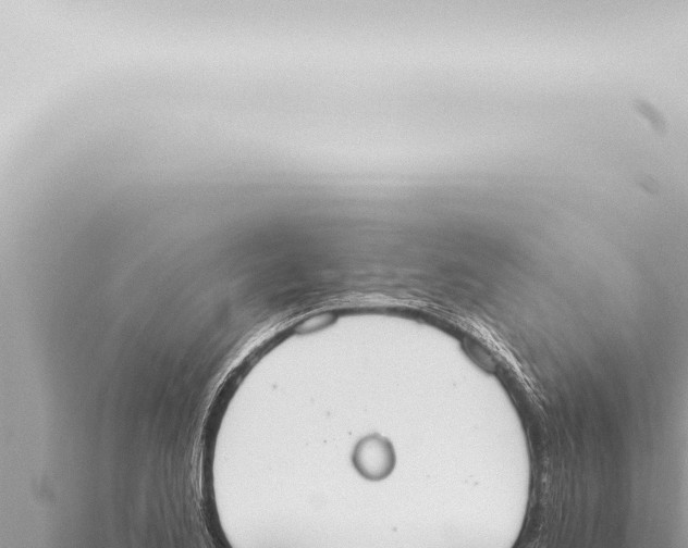 X0000115421173200912011240