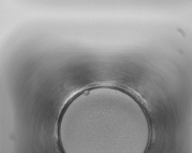 X0000115421174200912011240