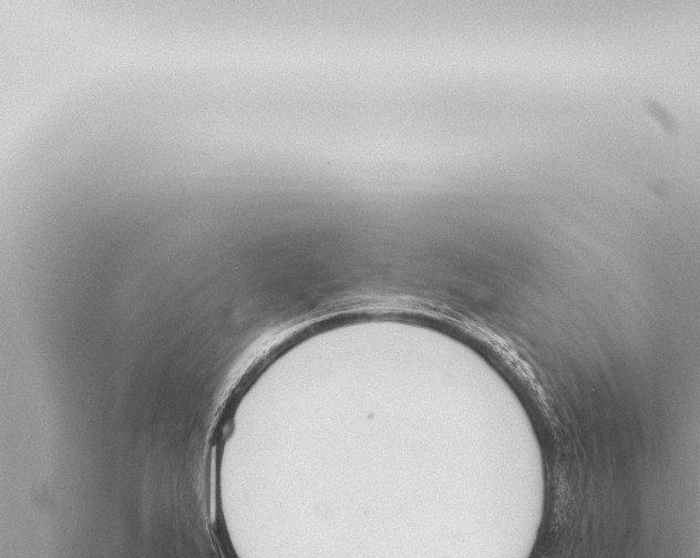 X0000115421175200912011240