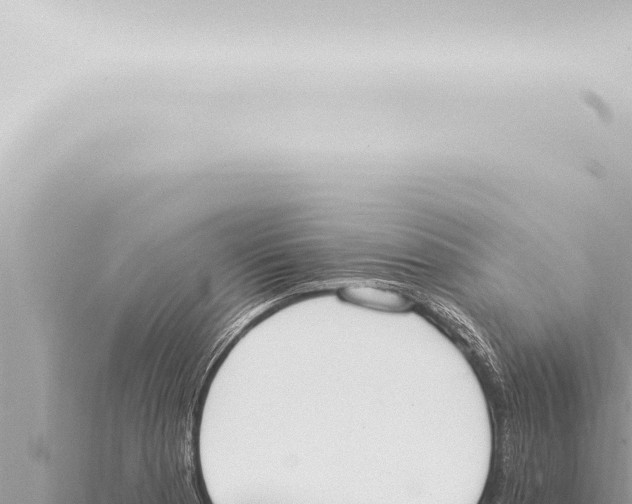 X0000115421177200912011240