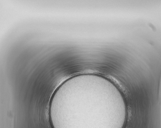 X0000115421178200912011240